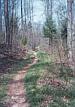 Wolf Branch Trail