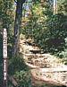 Black Mountain Trail
