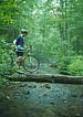 Crossing Fletcher Creek