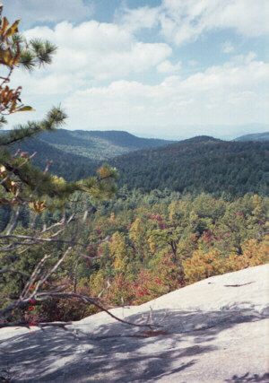 View from the Big Rock trail