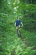 Fern Lined Trail