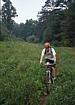 Cruising Through the Fields